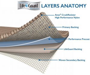 life-gaurd-layers-of-anatomy